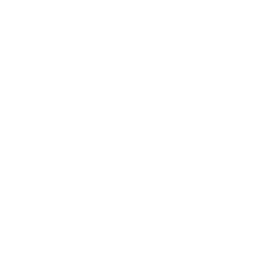 chiropractic icon